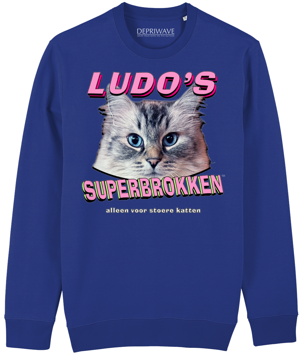 Ludo's Superbrokken sweater (blauw en extra warm)