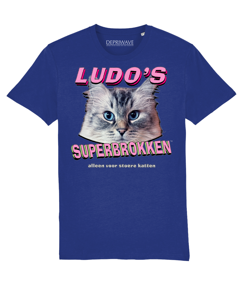 Ludo's Superbrokken t-shirt (blauw)