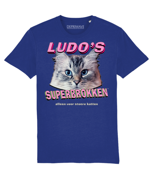Ludo's Superbrokken t-shirt (blauw)